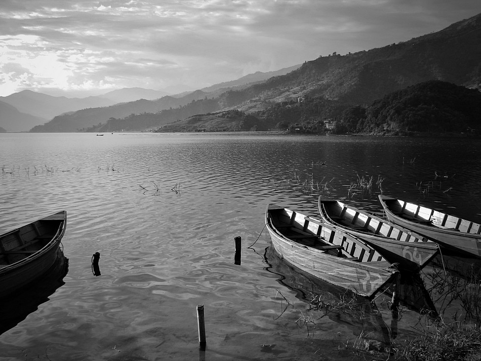 By: Oded Baron