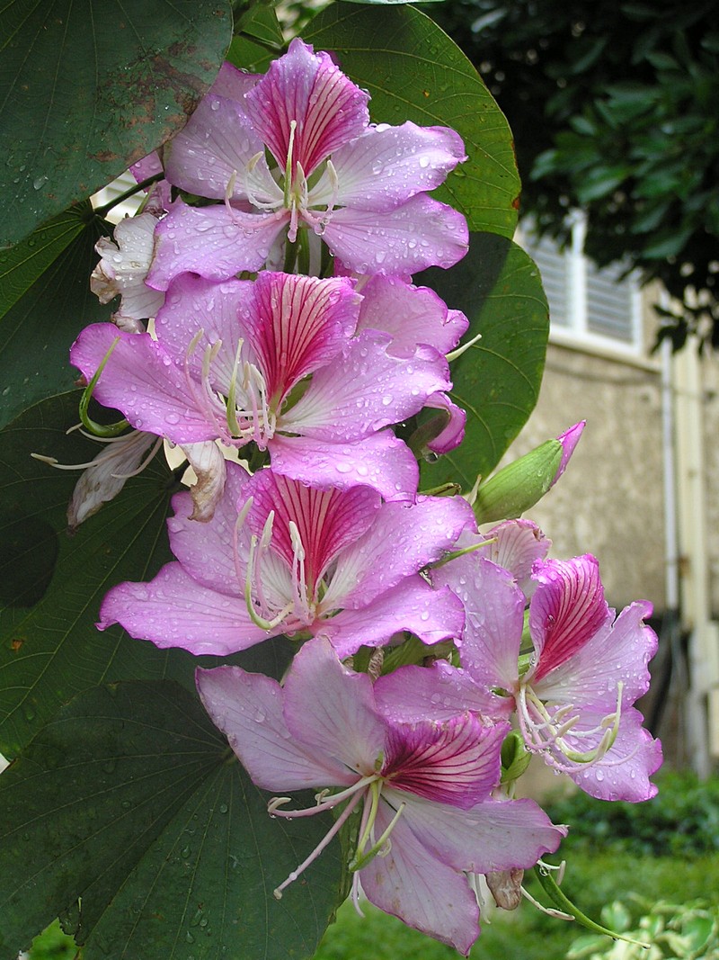 By:  