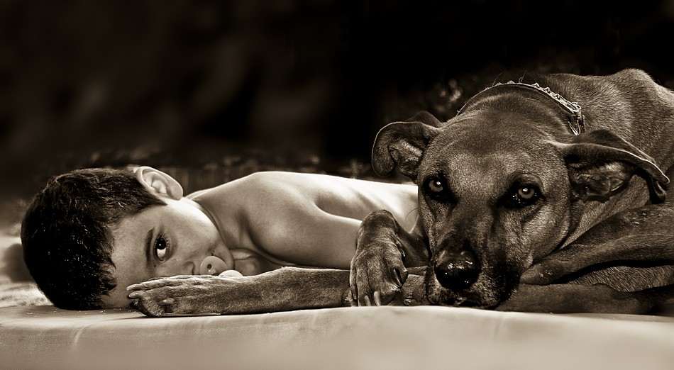 By: Eli Rimon