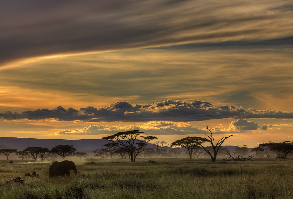 By: Amnon  Eichelberg