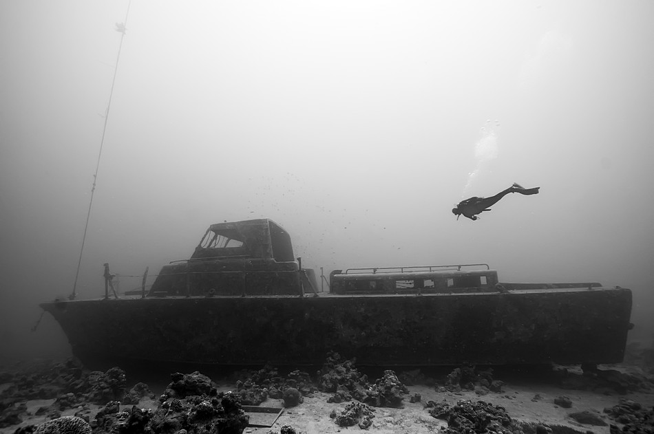 By: Oren Cohen