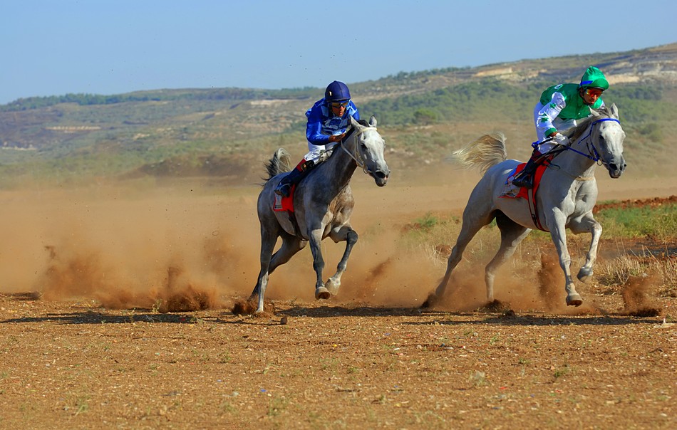 By: Kfir Dadon