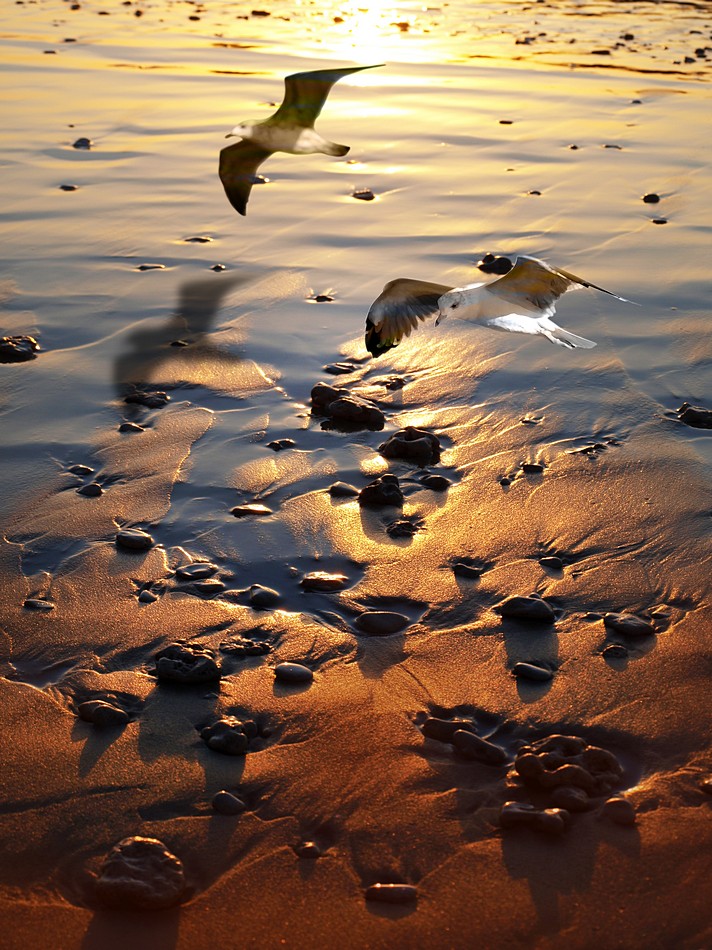 By: Orit Gafni