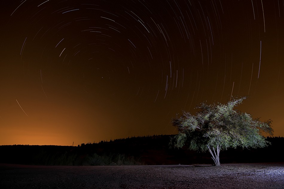 By: Oren Cohen