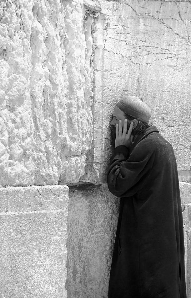 by: Zeev Mendelovitch