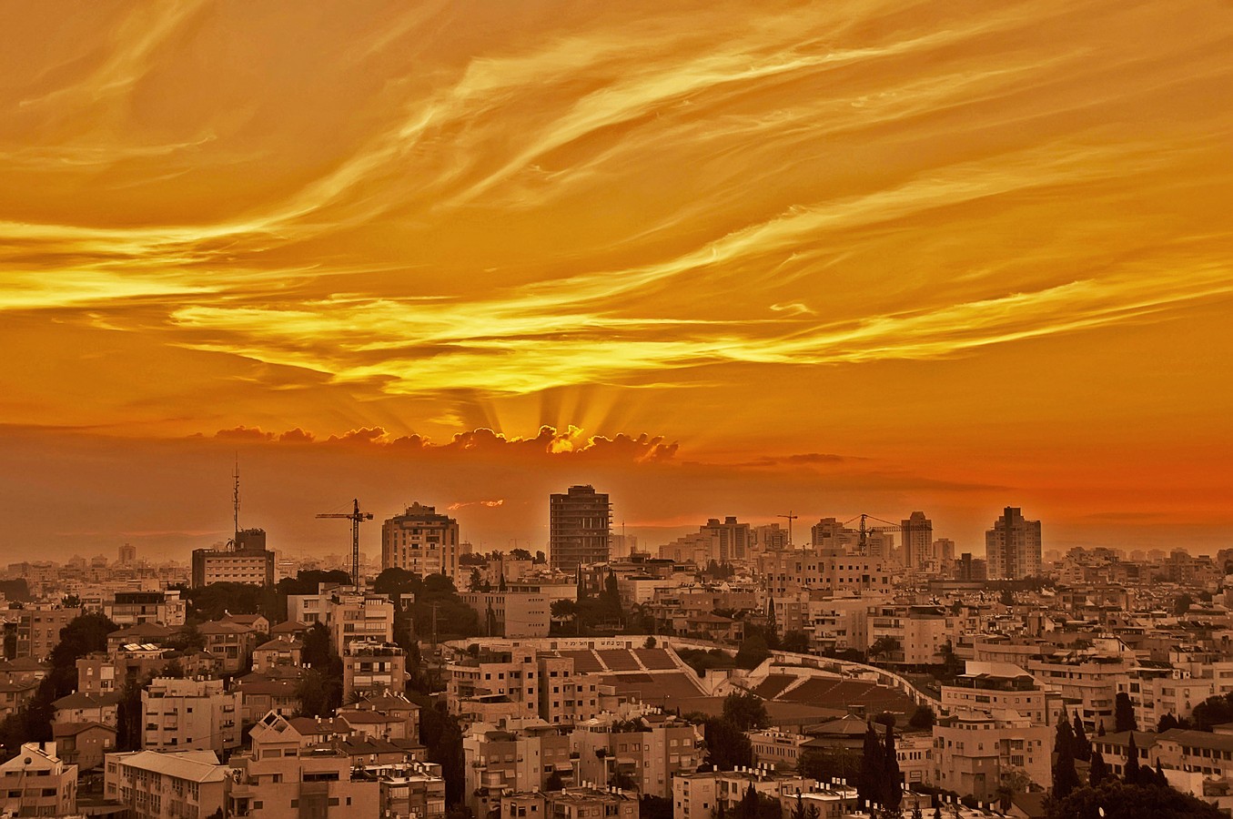 By: Yoram Segol