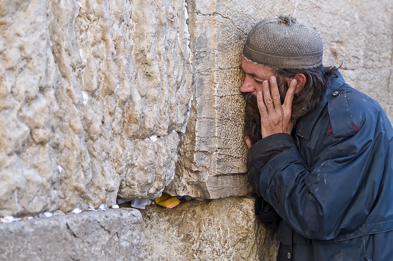 By: Oren Cohen
