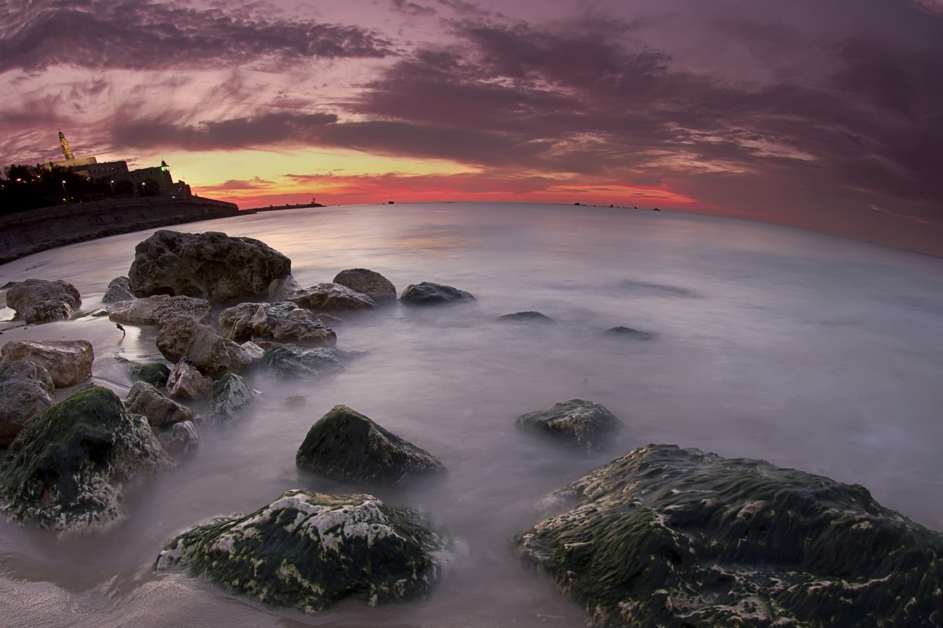 By: Amnon  Eichelberg