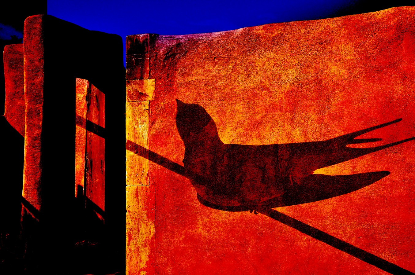 By: Orit Gafni
