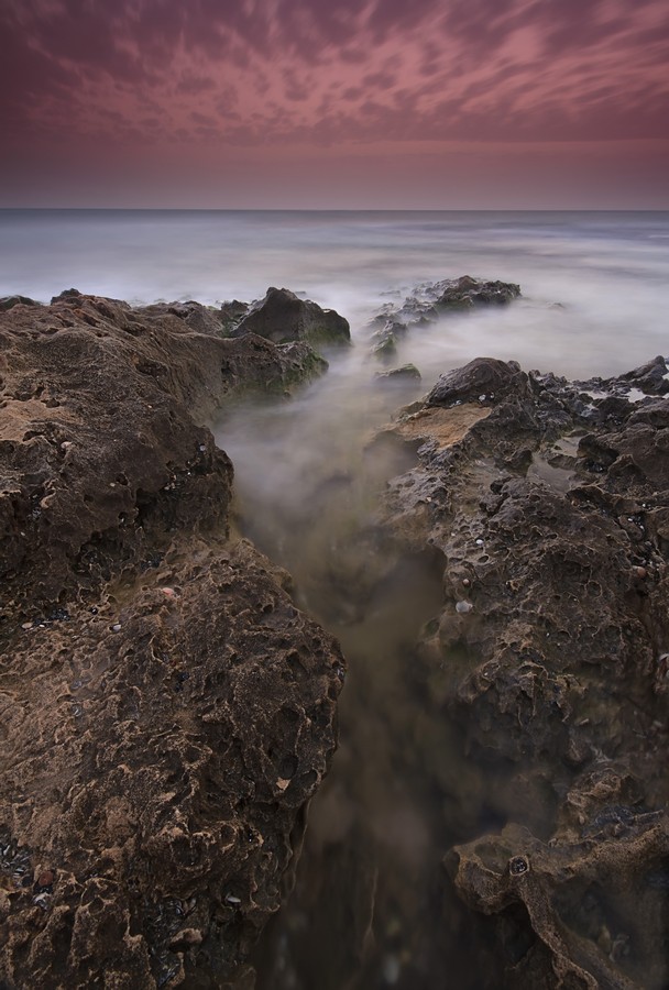 By: Amnon  Eichelberg
