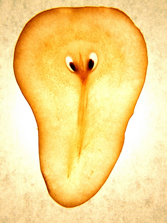 by:  