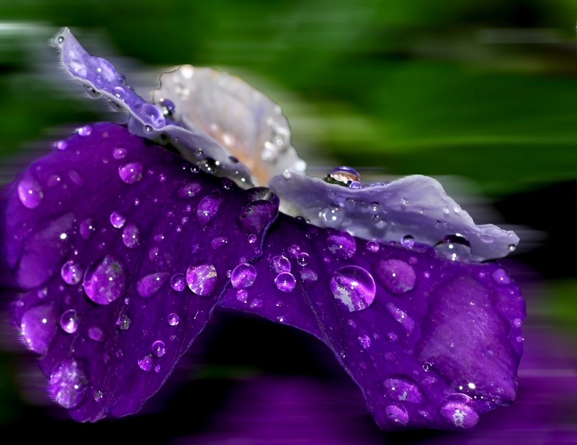 By: Orit Gafni