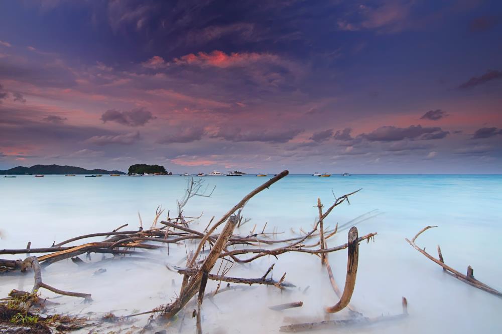 By: Amnon  Eichelberg