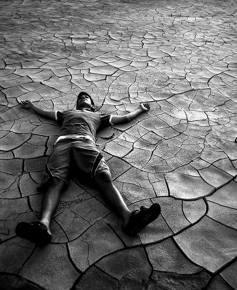 by: Yogev Cohen