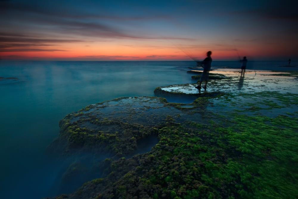 By: Amnon  Eichelberg