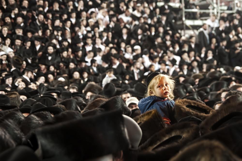 by: Oren Cohen
