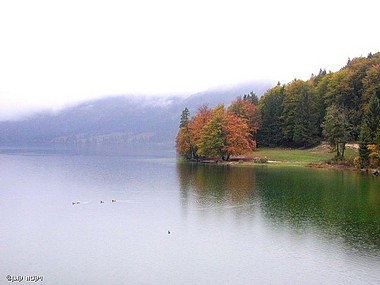 Photo by:  