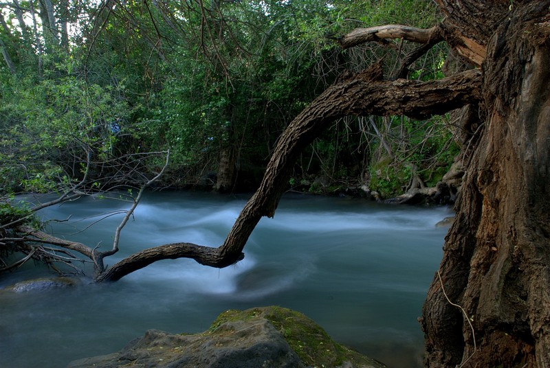 Photo by: YEHUDA BENCHIMOL