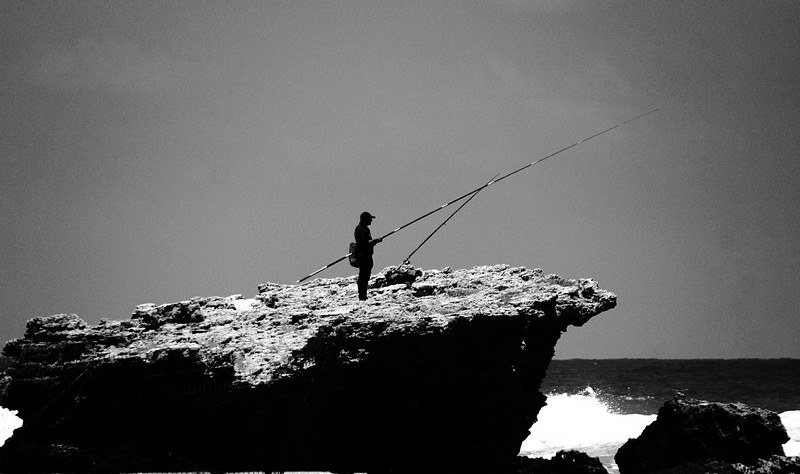 Photo by:  