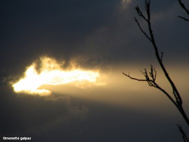 Photo by:  
