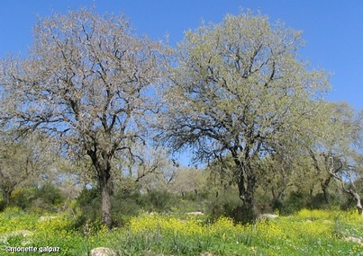 Photo by:  