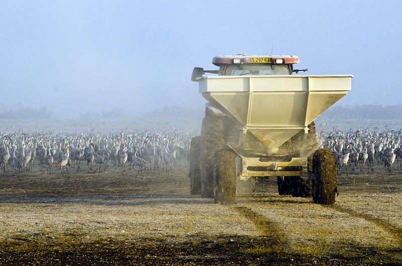 Nature animals  Birds Poultry Lakes & Rivers