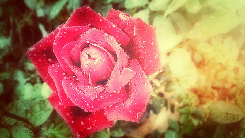 Photo by:  