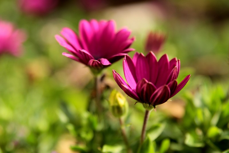 Photo by: 