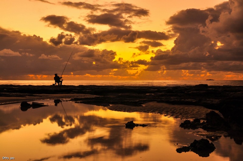 Photo by:  