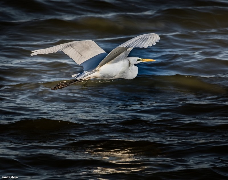 Photo by:  