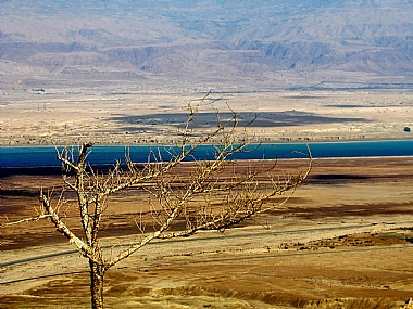 Photo by: zvi zakhaim