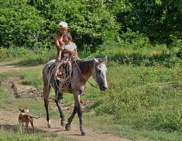 People World & Travel kids Trees South America