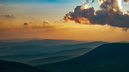 Photo by: shlomo gelber