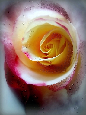 Nature post production Flowers Processing & effects