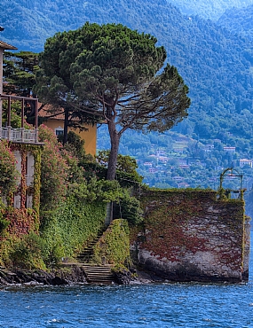World & Travel Nature Stairs landscape Trees Italy