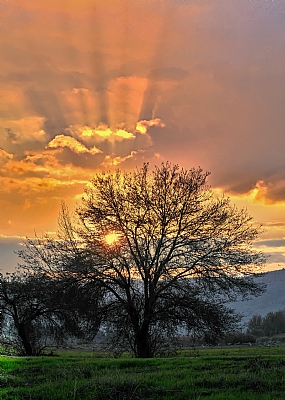 Nature Sky Sunsets Israel Israel views North Israel