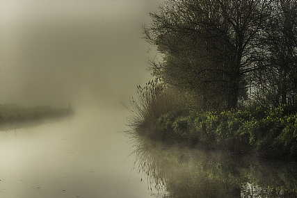 Nature Trees Plants water Seasons & Weather Lakes & Rivers Israel North Israel