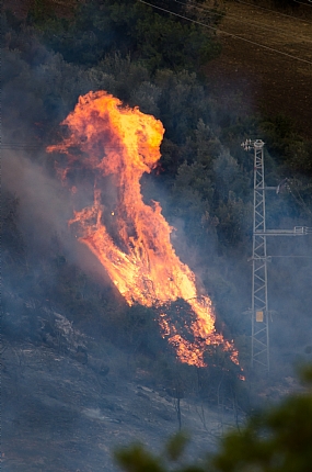 Nature fire Israel North Israel