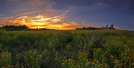 Nature Sunsets Seasons & Weather Israel Israel views Central Israel