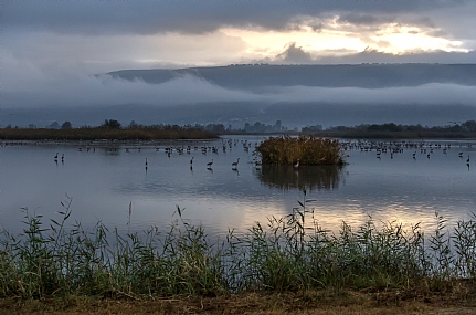 Photo by: Vered Hadar