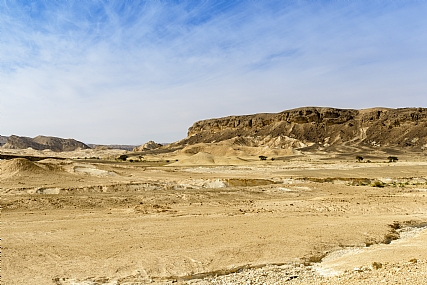 Photo by: Nissim  Bracha