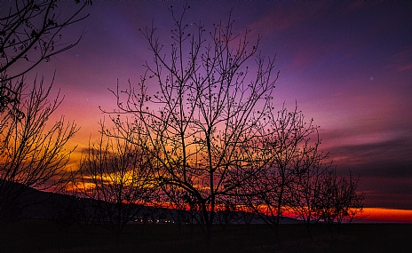 Photo by: Dave Damari