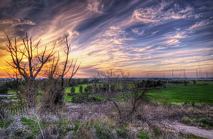 Nature Trees Sky Sunsets Israel Israel views Central Israel