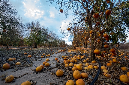 Photo by: Vered Hadar