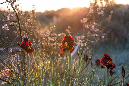 Photo by: Vered Hadar