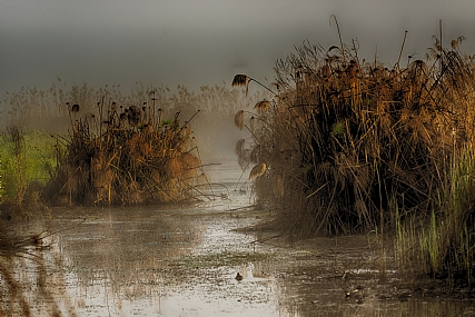 Nature landscape Plants water Lakes & Rivers Israel North Israel