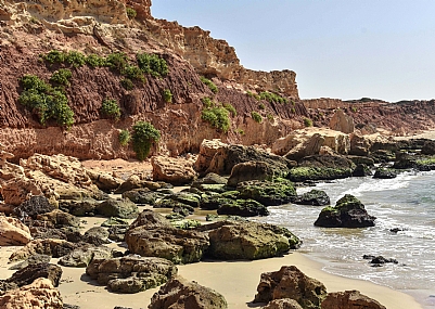 Nature Shores Israel Israel views Central Israel