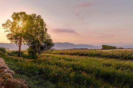 Israel North Israel Nature landscape Trees Sunsets