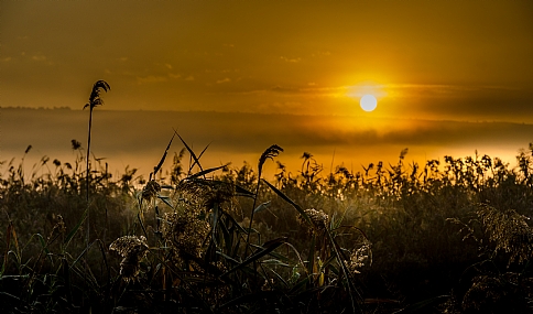 Nature landscape Sunrises Israel Israel views North Israel