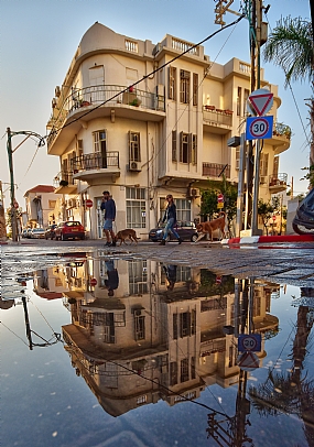 People people City & Architecture Structures and Buildings animals Dogs Israel Central Israel Israeli Streets